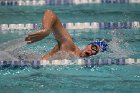 Swimming vs USCGA  Wheaton College Swimming & Diving vs US Coast Guard Academy. - Photo By: KEITH NORDSTROM : Wheaton, Swimming, Diving